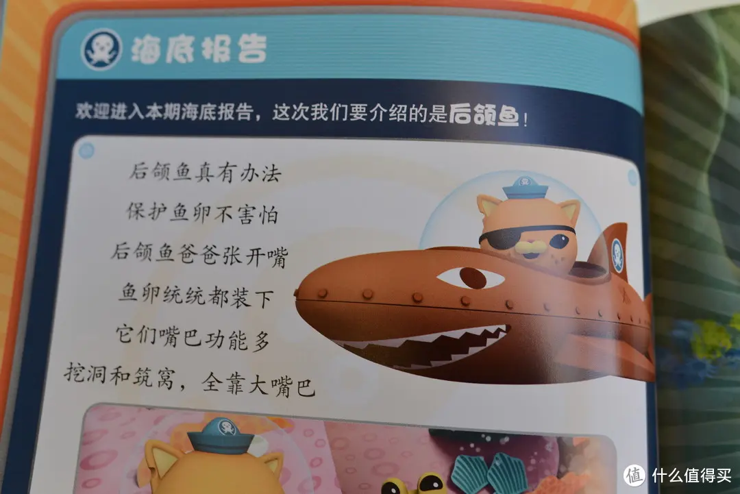 网上有图片，这种鱼是把一窝鱼卵含在嘴里。然后由雄性鱼看护，一直到孵化。非常特殊。