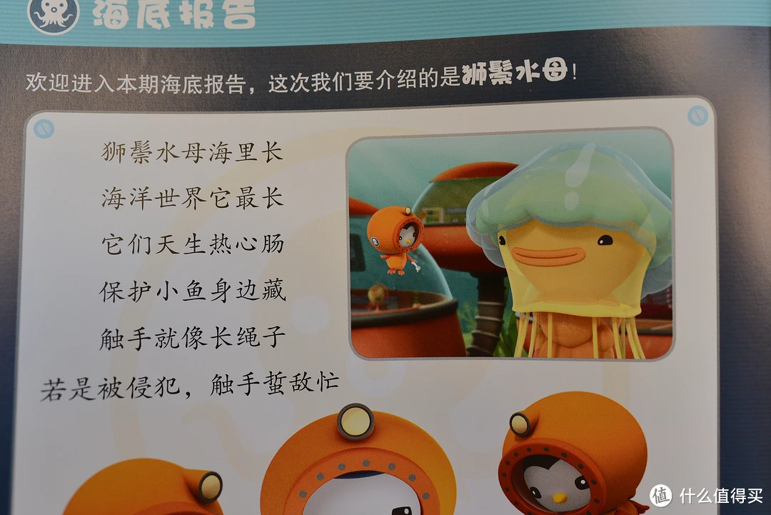世界上最大的水母，相当的恐怖。触手可以达到150条。水底最强生物之一。触手有剧毒。