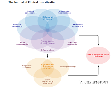 衰老的生物学标志是什么_不会衰老的生物_衰老对生物体为什么是有利的