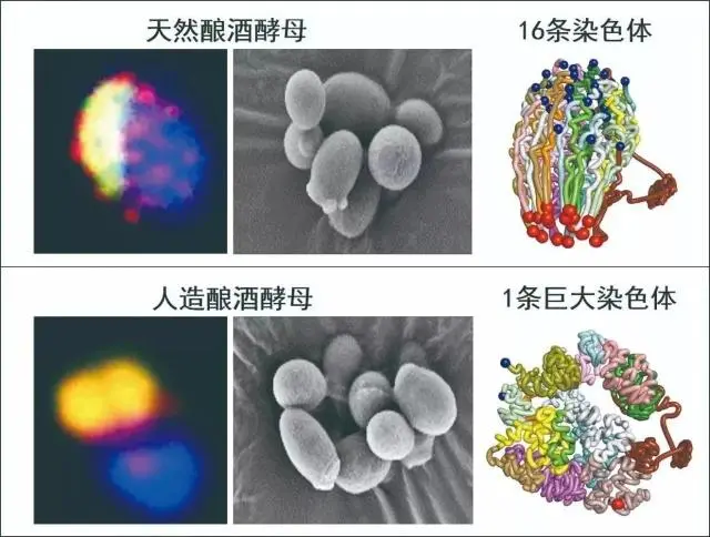 全球10大科技进展_全球科技发展_全球科技进步的总体态势