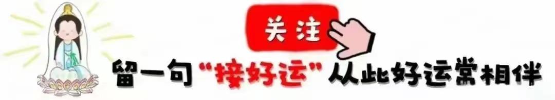 最聪明的四个生肖，无论是智商还是情商都是一流的，第一名是谁？