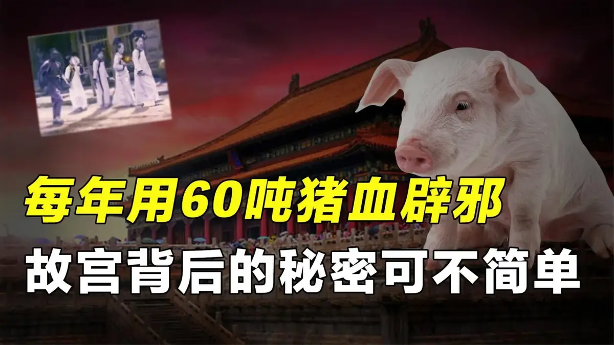故宫奇闻异事真实故事_故宫的奇闻_故宫奇闻逸事