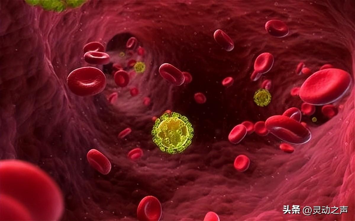 生物技术的四大工程是什么_生物工程技术是学什么的_生物工程技术是什么专业