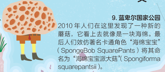 大千世界奇闻_大千世界奇闻趣事视频_大千世界奇闻异事