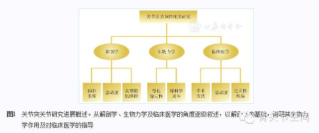 关节突关节的生物力学研究进展