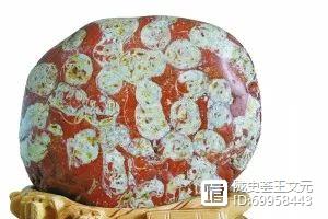 古生代末期灭绝的生物_已灭绝的古代生物_灭绝的古生物
