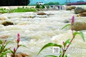 古生代末期灭绝的生物_灭绝的古生物_已灭绝的古代生物