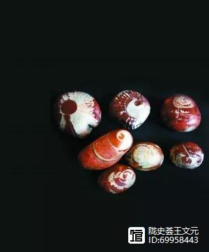灭绝的古生物_已灭绝的古代生物_古生代末期灭绝的生物
