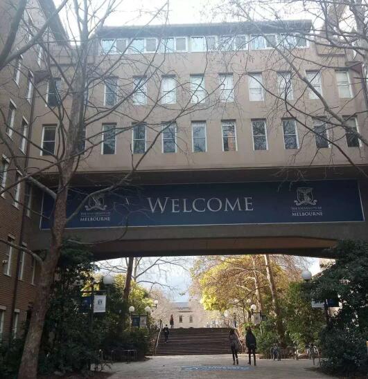 墨尔本大学回国就业