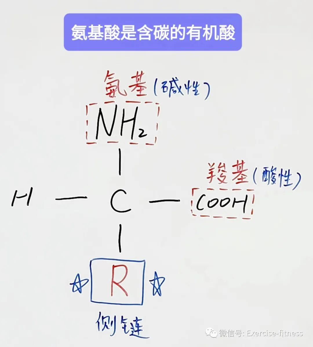 化学生物概念基本内容包括_化学生物是什么意思_生物化学的基本概念