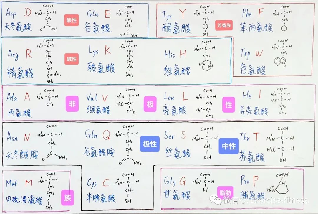 化学生物是什么意思_化学生物概念基本内容包括_生物化学的基本概念