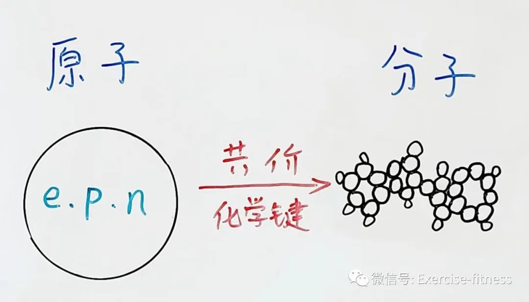 化学生物概念基本内容包括_生物化学的基本概念_化学生物是什么意思