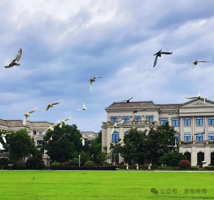 世间生物都是怎么形成的_世间任何生物_世间生物皆有灵性