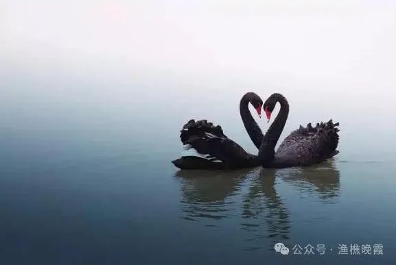 世间生物皆有灵性_世间生物都是怎么形成的_世间任何生物