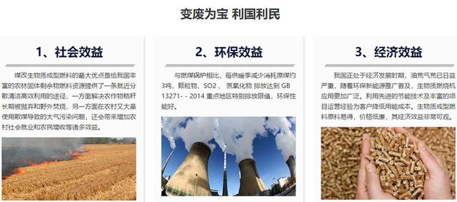生物质颗粒燃料项目可行性研究报告