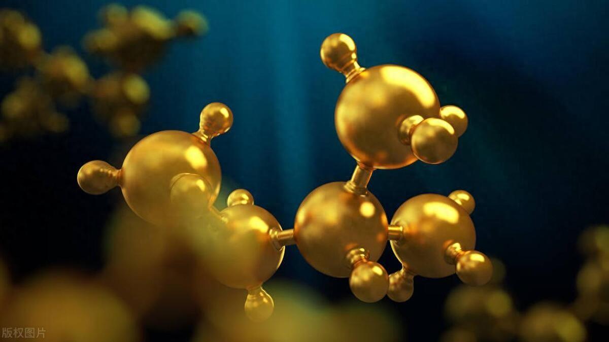 生物科学和生物技术_生物科学技术有前途吗_生物科学技术学院